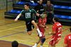 Handbal: gelijkspel voor 'Nelo'