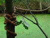 Kunstroute geopend