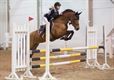 Indoor springtornooi voor pony's (en hun ruiter)