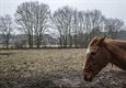 Bijzondere foto's van bijzondere jongeren