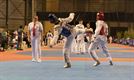 Belgian Open Taekwondo in Soeverein