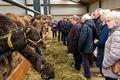 KWB bezoekt unieke kamelenboerderij