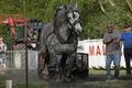 Veel volk voor trekwedstrijd boerenpaarden