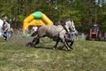 Paard slaat op hol en gaat door publiek