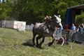 Paard slaat op hol en gaat door publiek