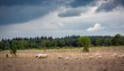 Vandaag in Blekerheide