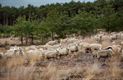 Vandaag in Blekerheide