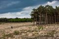 Vandaag in Blekerheide