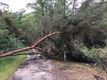 Stormschade van gisterenavond