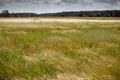 Ook Blekerheide getroffen door stormschade