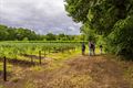 Opendeurdag Blueberry Fields