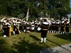 Koningsboom geplant in SHLille