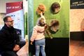 Expo 'Wolven in Limburg'  geopend