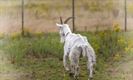 Verfrissende beelden uit Gelderhorsten