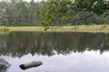 Wandelen in Beringen: Koersel Groen