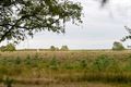 Wandelen in Beringen: Koersel Groen