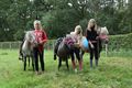 Met de pony door Blueberry Fields