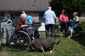 Dieren knuffelen in WZC Prinsenhof