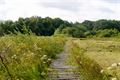 Wandelen in Beringen: Koersel Rood