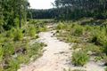 Wandelen in Beringen: Koersel Rood