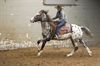 Dressuur in de manège