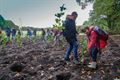 Boomplantactie tijdens 'Week van het Bos'