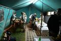 Scouts Tervant in actie voor Bloemenstad