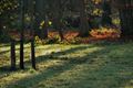 Herfst in het stadspark