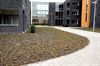 Vers groen voor de serviceflats