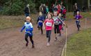 52ste editie van Lommelse Veldloop