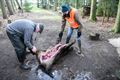 'De jagers zijn niet de vijand van de natuur'