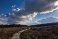 Knappe luchten boven Blekerheide