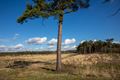 Knappe luchten boven Blekerheide