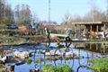 Tuinieren met de voeten in het water