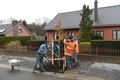 1200 klimaatbomen in Beringen