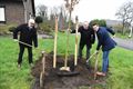 1200 klimaatbomen in Beringen