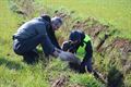 Schapen doodgebeten aan Herenthoek