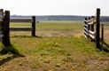 Alweer enig natuurschoon