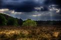 Mooie natuur bij de Sahara