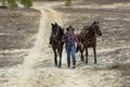 Een passie voor paarden: Brenda Vanderhoydonks