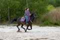 Een passie voor paarden: Brenda Vanderhoydonks