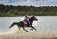 Een passie voor paarden: Brenda Vanderhoydonks