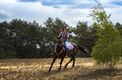 Een passie voor paarden: Brenda Vanderhoydonks