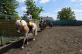 Ook paarden genieten terug van een ritje
