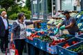 Terug markt in Beverlo