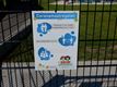 Vernieuwd stadspark geopend