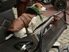 Dierenzegening in SHLille