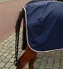 Dierenzegening in SHLille