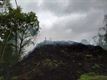 Gigantische berg groenafval vat vuur