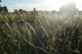 Schaffen: Vliegveld Wandelpad